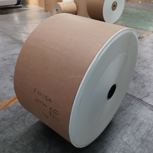 Waterproof PE Coated <b>Paper</b> <b>Roll</b> Food Grade Ecofriendly Biodegradable - Product Image 4