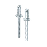 Rivet aveugle à tête de dôme en acier à ampoule unique de haute qualité