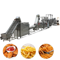 Constante Temperatuur Stabiele Friteuse Speciale Verwerkingsmachines voor Diepvriesproducten en Casual Snacks
