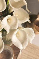 Bunga Calla Lily Tunggal Berkualitas Tinggi Gaya Modern Multiwarna Buatan Ramah Lingkungan Dapat Didaur Ulang Laris Manis untuk Thanksgiving Natal