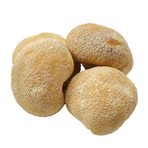 Champignon <span class=keywords><strong>Hericium</strong></span> de haute qualité, nourrissant, de montagne profonde, de grande taille - Product Image 1