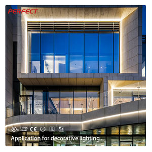 Tira de Luces LED RGBW de PU Transparente, Personalizable, de Larga Duración, Alto Brillo, Impermeable IP68, para Iluminación Exterior - Product Image 4