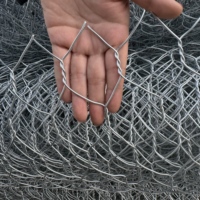 Panier gabion hexagonal en fil d'acier galvanisé, maille tissée, cages à pierres, découpe et pliage, pour rivage de rivière, directement du fabricant