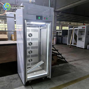 Armadio di Scongelamento per Cucina, Attrezzatura per la Lavorazione degli Alimenti, Armadio di Scongelamento a Temperatura Controllata - Product Image 6