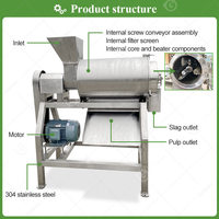 Fruit- en pitverwijderaar, -pulper en -afwerkmachine voor frambozen, guave, druiven, zuurzak, mango en appel puree.