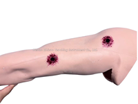 Modelo de Brazo Multiblesiones 2026 para Entrenamiento de Hemostasia y Cuidado de Traumas, Kit de Modelo de Brazo para Entrenamiento de Hemostasia y Aplicación de Apósitos