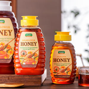 Hot Selling Wholesale Price Food Grade <strong>Honey</strong> Bottles Plastic Plastic Bottles Mini <strong>Honey</strong> <strong>Bear</strong> Bottle - Product Image 5