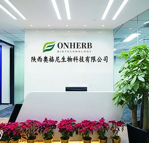 <span class=keywords><strong>Poudre</strong></span> d'extrait de baie miracle pure à vente chaude, extrait de baie miracle, <span class=keywords><strong>poudre</strong></span> de <span class=keywords><strong>miraculine</strong></span> à 98% - Product Image 6