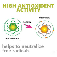 Superfood 90 gélules végétaliennes de haute qualité 420mg extrait de champignon Chaga avec booster du système immunitaire Shilajit de l'Himalaya
