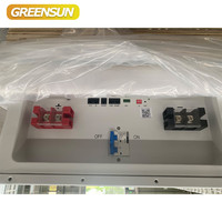 Batterie solaire Lifepo4 basse tension Greensun avec garantie de 10 ans, 51,2 V, 200 Ah, 314 Ah, 16 kWh, 20 kWh, 30 kWh pour système d'énergie solaire