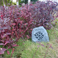Thinuna LS-505 20W extérieur IP55 caché tous temps haut-parleur jardin étanche haut-parleur petite pierre pelouse Rock haut-parleurs pour jardin