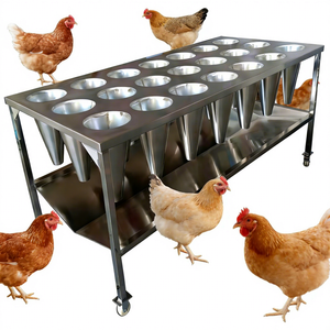 Equipo Profesional para el Sacrificio de Pollos, 21 Conos, Mesa de Sacrificio y Sangrado HJ-ZJD21 - Product Image 1