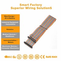 Produsen Kabel Pita Datar OEM AWG 2651 6-64Pin Konektor IDC 2.54mm Kabel Harness untuk Peralatan Industri Komputer