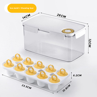 Mini moules à glaçons réutilisables personnalisés Moules à glaçons Popsicle Formes Moule à crème glacée Popsicle Plateau Cube Emballage en plastique pour enfants