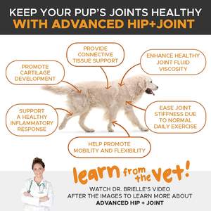 Toptan köpek sağlıklı eklemler takviyesi glukozamin zerdeçal MSM kondroitin sülfat kemikleri Pet anti-inflamatuar kabartma - Product Image 4