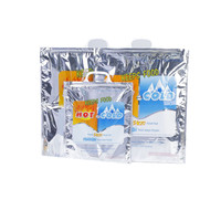 Sac isotherme écologique anti-fuite, léger et portable avec poignée, pour canettes chaudes/froides, idéal pour le voyage et le stockage.