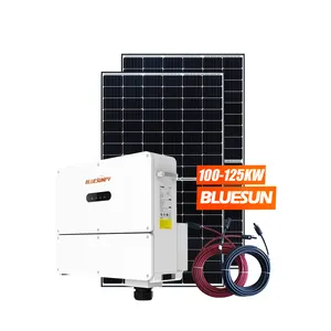 Bluesun 500Kw Solar Power Plant 500Kw 1Mw Solar Panels System Photovoltaic Power Station For The Supply Of Merchant Power