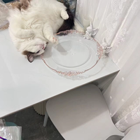 Nouvelle arrivée 2024, assiette en plastique transparente de style européen avec bord rose, assiette de service pour banquet de mariage