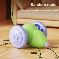 Jouet électrique interactif pour chat et chien, style voiture de course intelligente, en ABS, avec souris et baguette roulante double face, best-seller transfrontalier