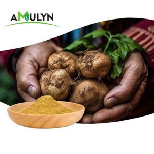 Amulyn热卖玛卡酰胺0.6% 玛卡种子提取物粉末 - Product Image 2