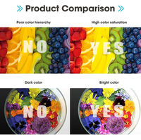 Encre DTF à base d'eau directe d'usine 1000ml plus couleurs vives pour l'impression de film PET sur T-shirts vêtements compatibles Epson CMYK + W