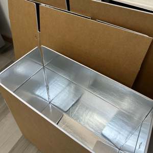 Wholesale Custom Aluminum Foil Cardboard Corrugated Cooler <strong>Boxes</strong> Insulated Shipping Folders for <strong>Frozen</strong> Food Transport China - Product Image 2