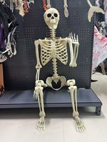 Modèle de squelette d'Halloween de 165 cm (5 pieds) avec articulations mobiles en plastique pour la mise en scène