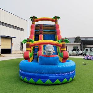 Toboggan aquatique gonflable de 30 pieds avec château gonflable combiné, toboggan tropical, toboggan aquatique irisé avec piscine - Product Image 1