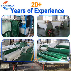 Banda Transportadora de PVC Verde de Alta Calidad Personalizada con Laterales Acanalados, Banda <span class=keywords><strong>Habasit</strong></span> para la Industria Frutal - Product Image 6