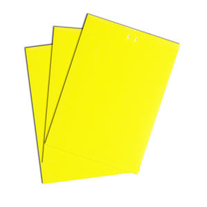 Piège à insectes écologique double face en plastique solide, jaune et bleu, attirant les insectes, pour les thrips et les petites mouches - Product Image 3