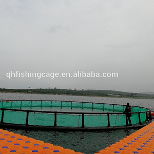 Daurade voir basse cage de pisciculture - Product Image 1