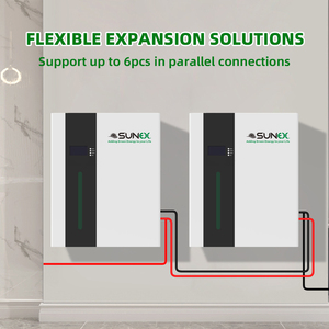 UAE在庫 SUNEX 5kWh 10kWh 15kWh 20kWh 25kWh 30kWh リチウム電池 <span class=keywords><strong>48V</strong></span> 600Ah <span class=keywords><strong>500Ah</strong></span> 400Ah 300Ah 200Ah 100Ah 太陽光発電システム用 - Product Image 4