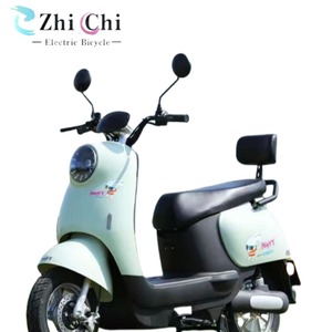 Moto électrique EBIKE 48V 350W avec moteur sans balais, batterie 20Ah, double suspension, autonomie de 60 km, coussin confortable, directement de l'usine européenne - Product Image 2