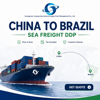 Logistique d'importation de la Chine vers le Brésil avec livraison en entrepôt DDP et distribution locale