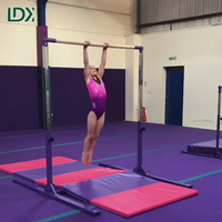 Barre fixe de gymnastique LDK, barre horizontale de gymnastique, équipement d'entraînement de gymnastique pour enfants