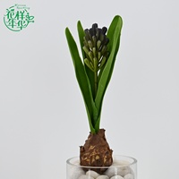 Plante artificielle réaliste en forme de bulbe de jacinthe verte, 25 cm, pour accessoires de photographie de mariage, décoration de jardin extérieur et de couloir