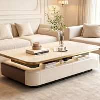 Table basse moderne avec plateau en pierre et structure en bois massif pour appartement, salon, mobilier de maison avec rangement, design écologique
