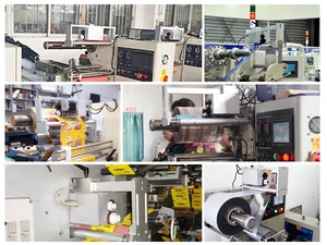 공장 가격 자동 고체 잉크 코딩 기계 HZ-1100A 잉크 롤 코더 만료일 배치 번호 비닐 봉투 프린터 - Product Image 2