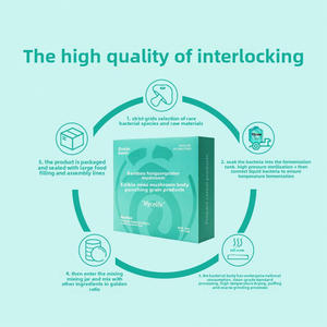 Myzel Super food Pulver | Ersatz für Bio-Mahlzeiten und probiotisches Fermentation getränk | 300g Box | Vegan & Gut Gesundheit - Product Image 2