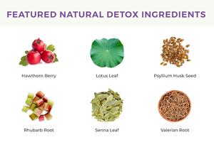 Trà giải độc hữu cơ với Lá Senna và lá sen có hiệu quả làm sạch cơ thể và ruột kết - Product Image 5