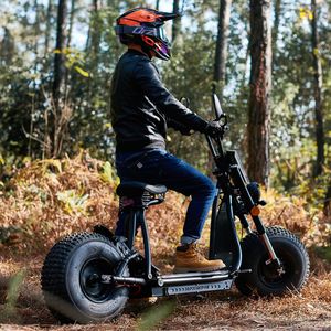 Certificado EEC 3000W <span class=keywords><strong>Dualtron</strong></span> Electric Citycoco Scooter 60V Scooter eléctrico 60 km/h Velocidad máxima 70km Rango de conducción para adultos - Product Image 2