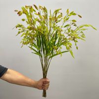 Rumput Oat Hijau Buatan Simulasi Tinggi, Dedaunan Cabang Panjang, Bunga Plastik Dekoratif, Tahan UV, Dekorasi Rumah Dalam Ruangan
