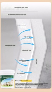Pittura Murale per Esterni a Base d'<span class=keywords><strong>Acqua</strong></span>, Resistente alle Intemperie, Rivestimento in Emulsione per Applicazione a Rullo, Pennello o <span class=keywords><strong>Spray</strong></span> su Cemento, Mattoni e Pannelli in Cemento - Product Image 4