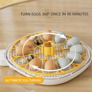 Chất Lượng Tốt Nhất Mini Nhà Sử Dụng 12 Công Suất Tự Động Lồng Ấp Trứng Để Chick, Ngỗng Để Bán - Product Image 3