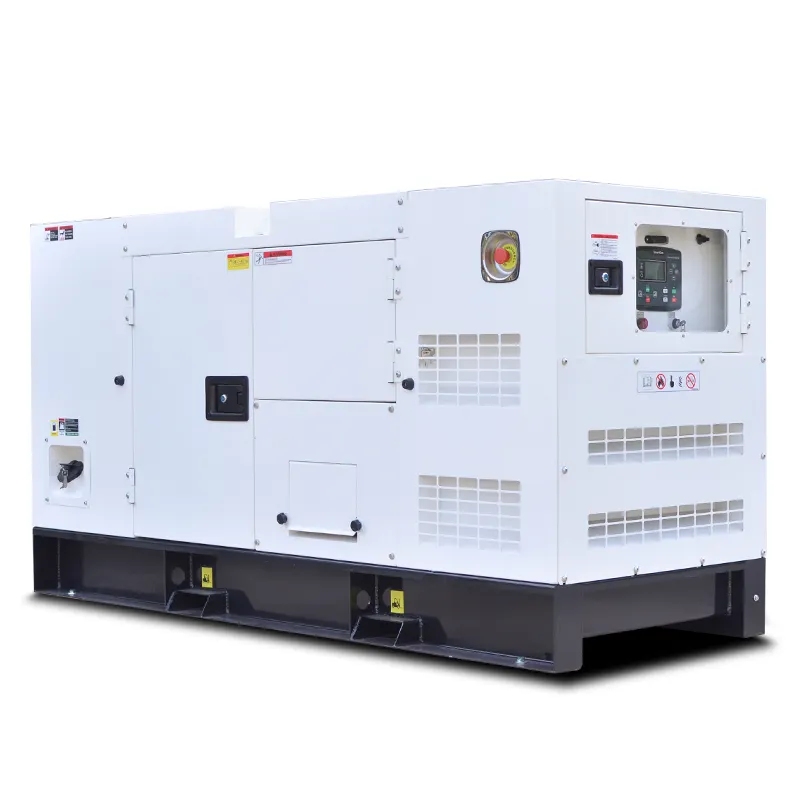 Potenza di emergenza silenzioso 200kw generatore diesel elettrico 250kva gruppo elettrogeno silenzioso con at