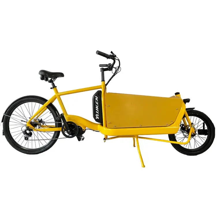 Yiyken bici da carico elettrica a due ruote per adulti/bakfiets bici da carico elettrica triciclo da bicicletta in vendita bicicletta elettrica