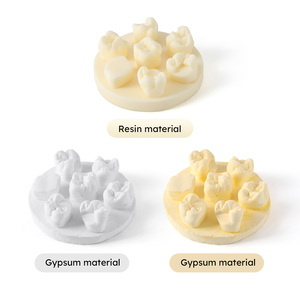 Yeso Dental/Material de resina Modelo de práctica de morfología dental Prueba de estudiante Modelo de práctica de cera por goteo - Product Image 1