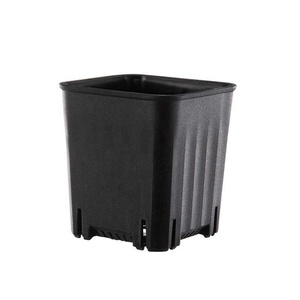 <span class=keywords><strong>Vaso</strong></span> di fiori da 2 pz <span class=keywords><strong>vaso</strong></span> quadrato di plastica semplice quadrato ispessito vasi da fiori <span class=keywords><strong>piante</strong></span> succulente - Product Image 1