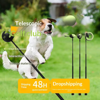 Bâton de jeu interactif pour chien en silicone écologique, résistant aux morsures et aux griffures, pour l'entraînement – Design tendance, portable pour l'extérieur