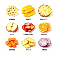 Kleine apparatuur voor fruitverwerking en -droging, mango-, banaan- en pruimen-dehydratiemachine